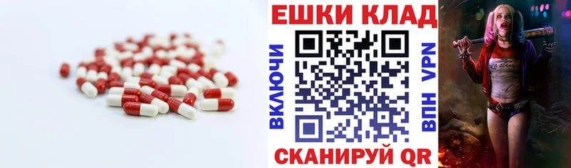ЭКСТАЗИ 250 мг где купить наркоту Злынка