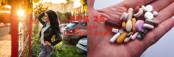 стаф Абаза