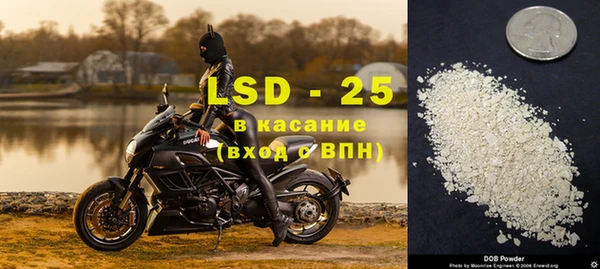 тгк Алзамай