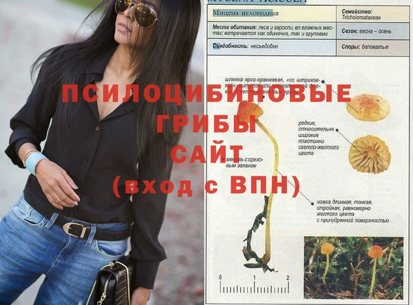 тгк Алзамай